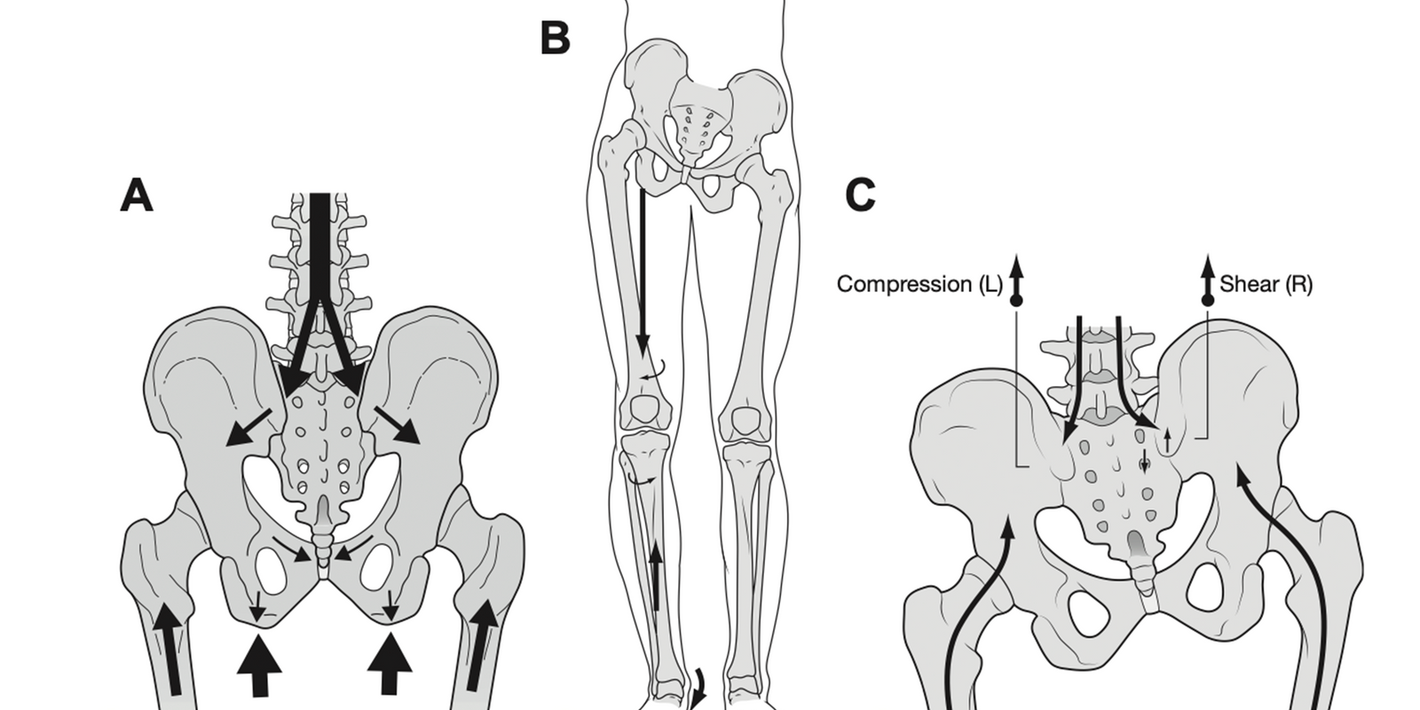 Malalignment Syndrome in Runners - Wolf Schamberger